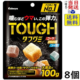 カバヤ タフグミ 100g 8個賞味期限2027/09