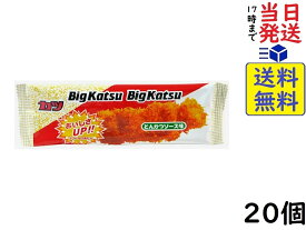 菓道 Big Katsu ビッグカツ とんかつソース味 1枚 ×20枚賞味期限2024/08/16
