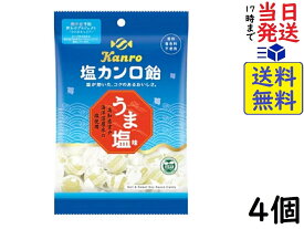 カンロ 塩カンロ飴 140g ×4個賞味期限2025/01