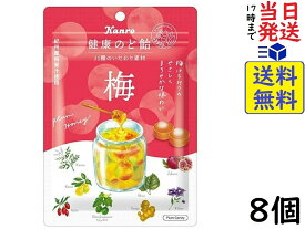 カンロ 健康のど飴 梅 90g ×8個賞味期限2025/02