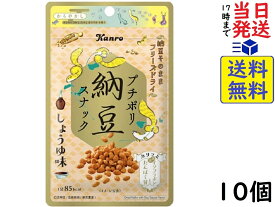 カンロ プチポリ 納豆スナック 醤油味 18g ×10個賞味期限2025/01