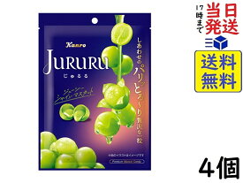 カンロ じゅるるシャインマスカット 60g×4個賞味期限2025/11