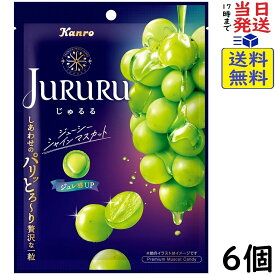 カンロ じゅるるシャインマスカット 60g×6個 賞味期限2026/12