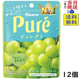 カンロ ピュレグミ マスカット 56g×12個賞味期限2026/11