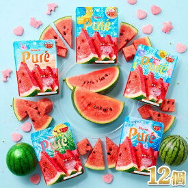 カンロ ピュレグミ すいすい塩スイカ 52g×12個賞味期限2027/03