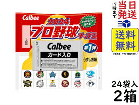 カルビー 2024 プロ野球チップス 第1弾 22g×24個×2箱 賞味期限2024/09