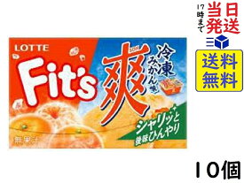 ロッテ フィッツ 爽 冷凍みかん味 12枚 ×10個
