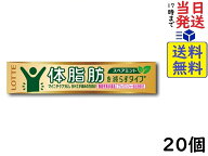 ロッテ マイニチケアガム 体脂肪を減らすタイプ 14粒 ×20個賞味期限2027/05