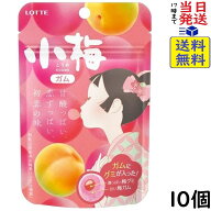 ロッテ 小梅ガム 26g×10個 賞味期限2027/03