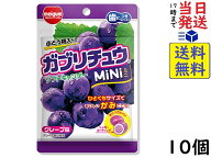 明治チューインガム ガブリチュウ MINI グレープ 28g ×10個賞味期限2027/02