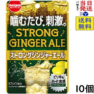 明治チューインガム ストロングジンジャーエール 38g×10個賞味期限2027/07