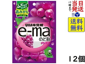 味覚糖 e-maのど飴 グレープ 50g×12個賞味期限2024/10