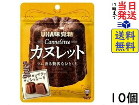 UHA味覚糖 カヌレット 40g ×10個賞味期限2024/11