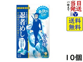 UHA味覚糖 忍者めし ラムネ 20g ×10個賞味期限2024/12