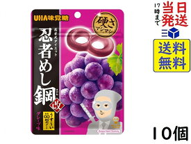 UHA味覚糖 忍者めし鋼 グレープ味 45g×10個賞味期限2027/03