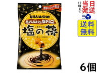 UHA味覚糖 塩の花 焦がしミルクと塩チョコ 71g ×6個賞味期限2027/05