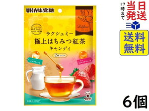 UHAo NV~[ o ɏ݂͂gLfB2A\[g 75g×6ܖ2026/08