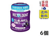 モンデリーズ リカルデント グレープミント ガム ボトル 135.2g×6個賞味期限2026/11