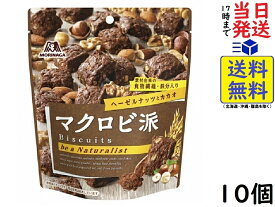 森永製菓 マクロビ派 ヘーゼルナッツとカカオ 100g ×10個賞味期限2024/10