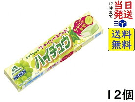 森永製菓 ハイチュウ シャインマスカット 12粒 ×12個賞味期限2024/11