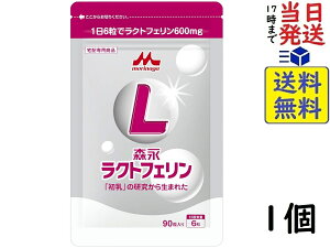 Xi NgtF 90 1 i16×15j@ܖ2027/06/17