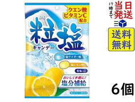 扇雀飴本舗 粒塩キャンデー 50g ×6個賞味期限2025/04