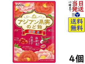 扇雀飴本舗 アジアン果実のど飴 台湾編 80g ×4個賞味期限2025/02