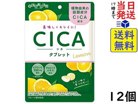 扇雀飴本舗 CICAタブレット 32g ×12個 賞味期限2024/08