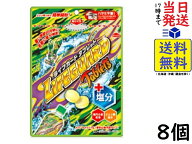 菓楽 ライフガード タブレット塩分プラス 70g ×8個賞味期限2027/02