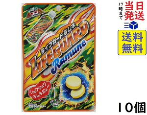 RX CtK[hl 28g ×10ܖ2026/06