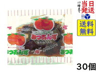ミナツネ　みつあんず　30個賞味期限2027/03
