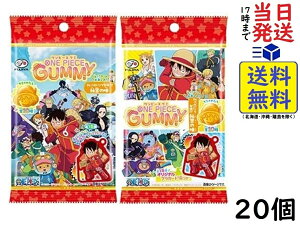 s ONE PIECE O~ 6 ×20 ܖ2026/08