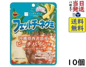 u{ tFbg`[lO~PREMIUMs[`pC 50g ×10 ܖ2026/02