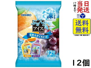 Iq ՂƃACX ݂+O[v 20g×12×12܏ܖ2026/04