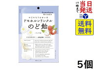 パイン ドモホルンリンクルのど飴 80g×5個　賞味期限2027/03