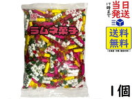 カクダイ製菓 ラムネ菓子 1kg賞味期限2027/05/05