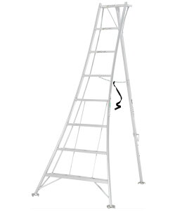 yzACR@Orr@|@I[A~Or240CM@KWX240@@ll菤iAlskCAAʓr䌩