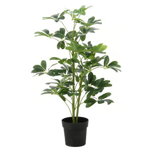 ysfՁzϗtA@htJmL@216s52693tikCʓr@ꌧv䌩ρjK[f@tFCN@t@O[@A@JtF@@