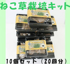 L@@˂悠 ˂͔|Lbg10Zbg GFP0006@O[tB[hvWFNg@L@ŊȒP͔|1Tԁ@I[KjbN@Lɂɂ@@L@q@|{y