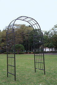 ガーデンアーチE型（32313）（ジャービス商事）エクステリア　ガーデニング　園芸　庭造り　ブラック　黒　アイアン