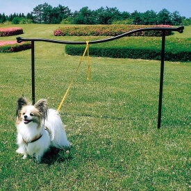 楽天市場 ドッグステイの通販