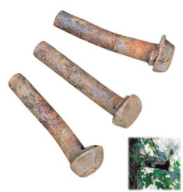 アンティーク犬釘（10本入）（26009）（ジャービス商事）エクステリア　ガーデン用品　ガーデニング用品　ウォールデコレーション　ディスプレイ　鉄
