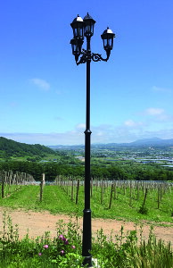 Oi| S-4000i66004jʓriW[rXjGNXeA@AEghACg@X@Ɩ@K[fCg