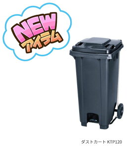 yzViEԌ艿i_XgJ[g KTPV[Y@KTP120JCXC}