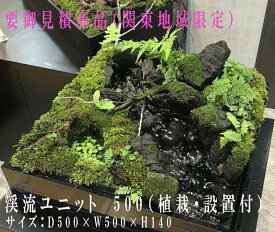 渓流ユニット （植栽付・設置工事付　要御見積ページ　関東地域限定）（THE KEIRYU COMPANY）動画あり　渓流　ドイツ製　癒し　ガーデン　ガーデニング　室内ガーデニング　釣り　マンションエントランス　高級老人ホーム　盆栽　ワサビ　メダカ　水族館　ドイツ製モーター