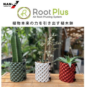 �y���������zRootPlus�@���[�g�v���X�|�b�g�~�j�@GS-AP150MINI3.0L×10���i��h�H�Ɓj