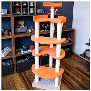 [i@lunaiTREjy󒍐Y@ybg\t@[@OWA[@ybg@\t@[@@L@@Z~I[_[@Y@hہEhERۃE^@zyzL