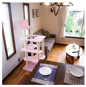 ~lbg@minetteiTREjy󒍐Y@ybg\t@[@OWA[@ybg@\t@[@@L@@Z~I[_[@Y@hہEhERۃE^@zyz