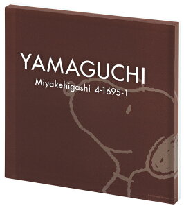 ys[ibcRNVzXk[s[\D vC SPPYS-1iێO^JMj