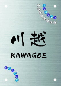 GNXeA[J[Ήv[gSIT4-SK-100iێO^JMj